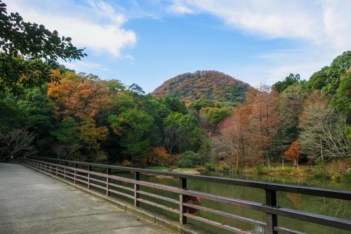 🌳 효고 현립 가부토야마 삼림공원 (효고켄리쓰 가부토야마 신린코엔) 이미지 5
